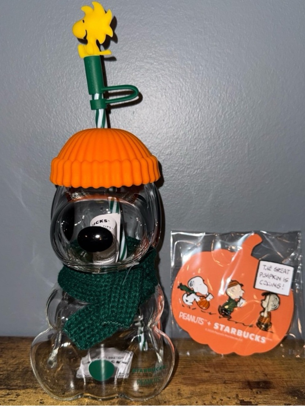 Snoopy Starbucks GLASS Cup and Pin Set bundle